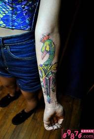 Ang swan ng Crown at sword creative na larawan ng tattoo tattoo