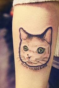 Fotografi e bukur dhe e bukur e tatuazheve të maceve në krah