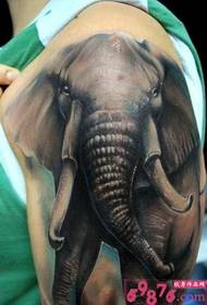 Elefantbild i armen