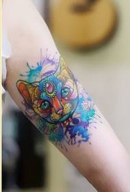 Γυναικείο χέρι όμορφο και όμορφο πιτσίλισμα εικόνα τατουάζ τέχνης γάτα