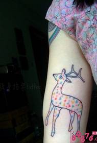 लड़की की बांह देखी जा सकती है, थोड़ा सिका हिरण टैटू पैटर्न चित्र