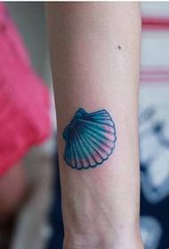 Девушка рука только красивая, выглядящая маленькая картина татуировки раковины