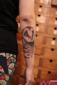 Cadro de tatuaje de brazo búho lindo