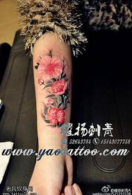 Patrón de tatuaje de ciruela color brazo