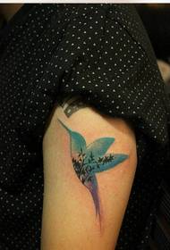 Lámh álainn ban ag lorg pictiúr ildaite de phátrún tattoo hummingbird