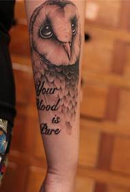 Preporučite sliku obrasca za tetovažu sove