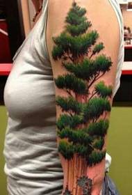 Manual beauty arm on 3D tattoo pine tattoo pattern pattern