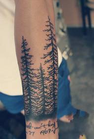 Lush Pine bra tatouage foto