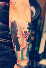 Cute pet dog arm tattoo picture