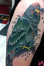 Farge papegøyearm tatoveringsbilde