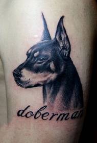 手臂杜宾犬刺青图片