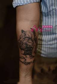 Sketch Wind Dog Head Portrait Arm Tattoo Bild