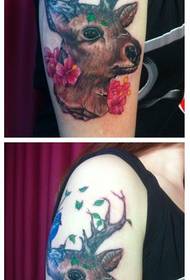 Bajka tajanstveni uzorak tetovaže glave od jelena