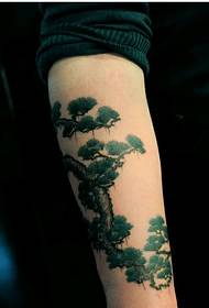 Immagine del modello del tatuaggio del pino di bell'aspetto di modo di personalità del braccio bello