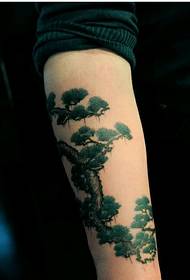 Akanaka ruoko hunhu mafashoni akanaka anotaridzika pine tattoo muenzaniso pikicha