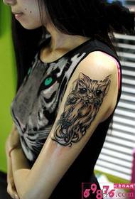 Personlighet kapitel katt arm tatuering bild