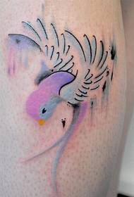 Moda femenina brazo hermoso color colibrí tatuaje patrón foto