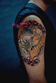 Gambar tato lengan harimau warna yang mendominasi