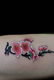 Una bella i bella imatge de tatuatge de pruna colorida al braç