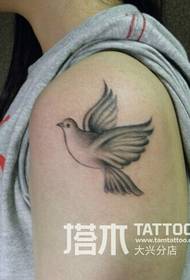Meisje earm lytse pigeon tattoo