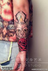 Braço cor gato rosa tatuagem padrão