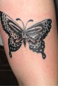 Butterfly Tattoo brachium Modus - Life Show Book 蚌埠