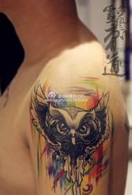 bra pèsonalite owl foto tatoo