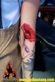 Arm roude Mohn Tattoo Muster