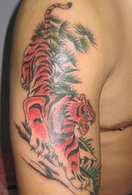 Arm down the mountain tygr tetování vzor - 蚌埠 tattoo show fotografie Xixia tetování doporučeno