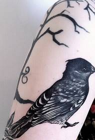 Arm klassiske smukke sort-hvide fugl kvist tatoveringsmønster