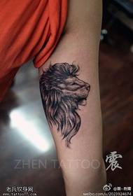 Belső kar oroszlán tetoválás minta