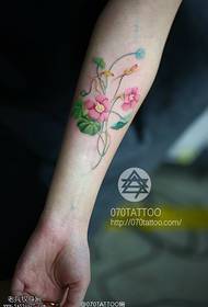 Рака чиста розова утринска слава шема на тетоважа