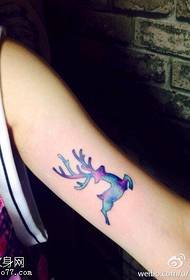 Tatuaggio di antilope stellata di culore bracciu