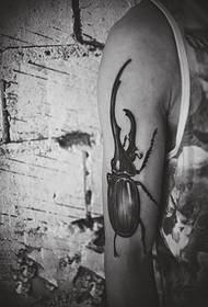 Tatuaje de brazo blanco y negro de insecto individual