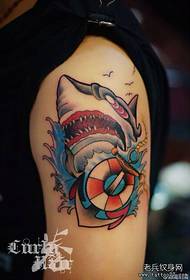 Armkleur haai tatoeëring prentjie