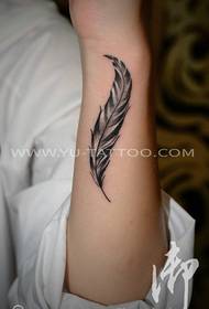 Modèle de tatouage de plume de bras féminin fourni par spectacle de tatouage