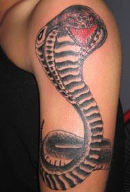 Arm python tattoo patroon - 蚌埠 tattoo toon foto, Xia Yi tattoo aanbevolen