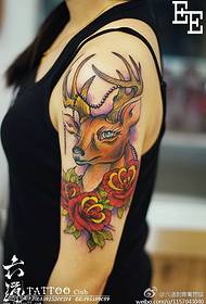 Oružuje divan uzorak velike tetovaže na glavi jelena