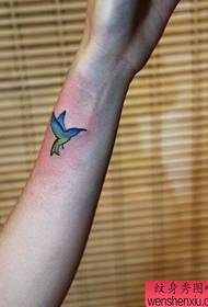 Treball de tatuatge de colibrí de canell de canell