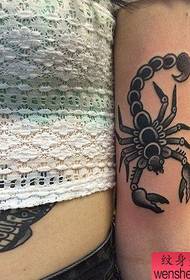 Brako skorpio tatuado laboro