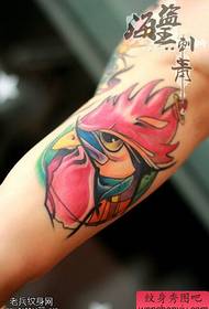 Tattoo show, beveel 'n armkleurige tatoeëermerk vir armkop