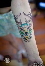 女生手臂潮流好看的小鹿纹身图案