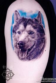 Arm knappe klassieke puppy portret tattoo patroon