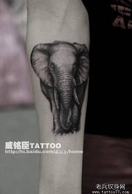 Fiú karja egy klasszikus fekete-fehér elefánt tetoválás mintával