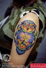 Nő karját színes bagoly tetoválás munka osztja meg a Tattoo Hall