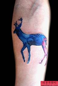 Tattoo show, beveel 'n arm ster antilope tattoo werk