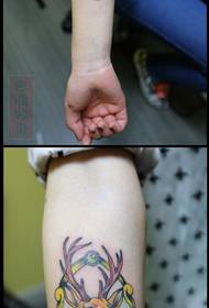 Braccio elegantemente colorato bellissimo modello di tatuaggio di cervo