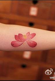 Aseho momba ny tatoazy, atolotry tatu lotus tattoo