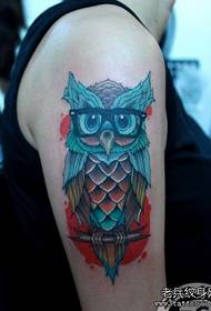 გოგონა ბავშვის მკლავი ევროპული სტილის owl tattoo ნიმუში