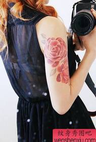 Tato tato, nyaranake warna tato mawar warna mawar wanita nganggo tato
